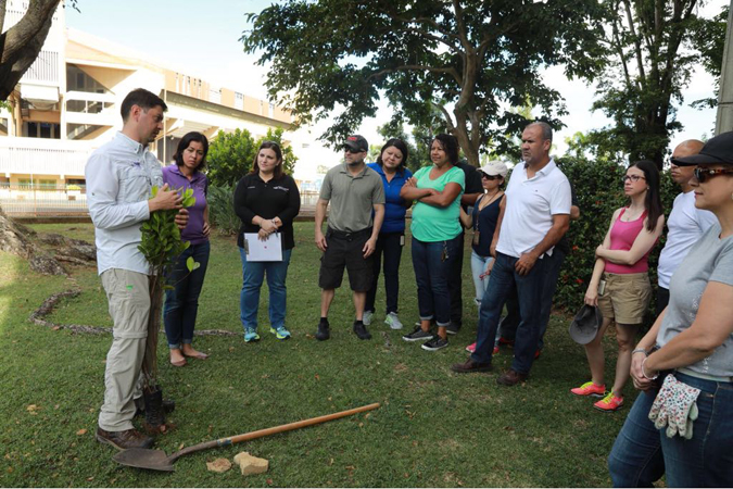 Edwin Figueroa, Biólogo de Para la Naturaleza, unidad del Fideicomiso de Conservación de Puerto Rico, orientó al personal de la Región Judicial de Bayamón sobre la siembra de árboles.