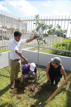 La siembra se llevó a cabo en los alrededores del Centro Judicial de Arecibo.