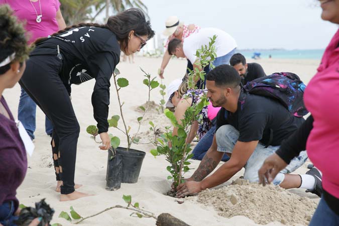 También participaron de la siembra miembros de las organizaciones CRES (Coalición Restauración de Ecosistemas en Santurce) y 7 Quillas (Grupo Tortuguero de Ocean Park).