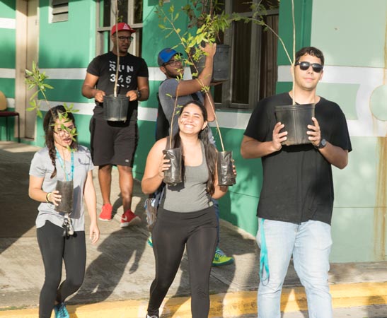 Estudiantes de la zona sur de la Isla colaboraron con la habilitación del bosque urbano en el Centro Judicial de Ponce.