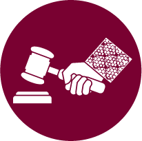 Jueces y juezas evaluados(as) en procesos de ascenso y/o renominación